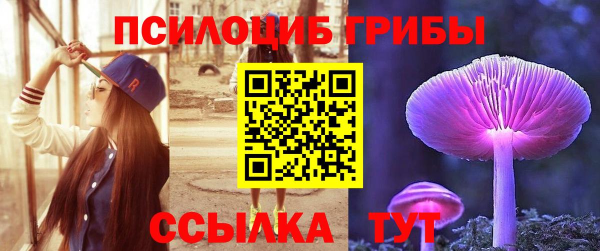 наркота  Псилоцибиновые грибы ЛСД  Псилоцибиновые грибы Psilocybine cubensis  Вход с VPN  Долгопрудный 