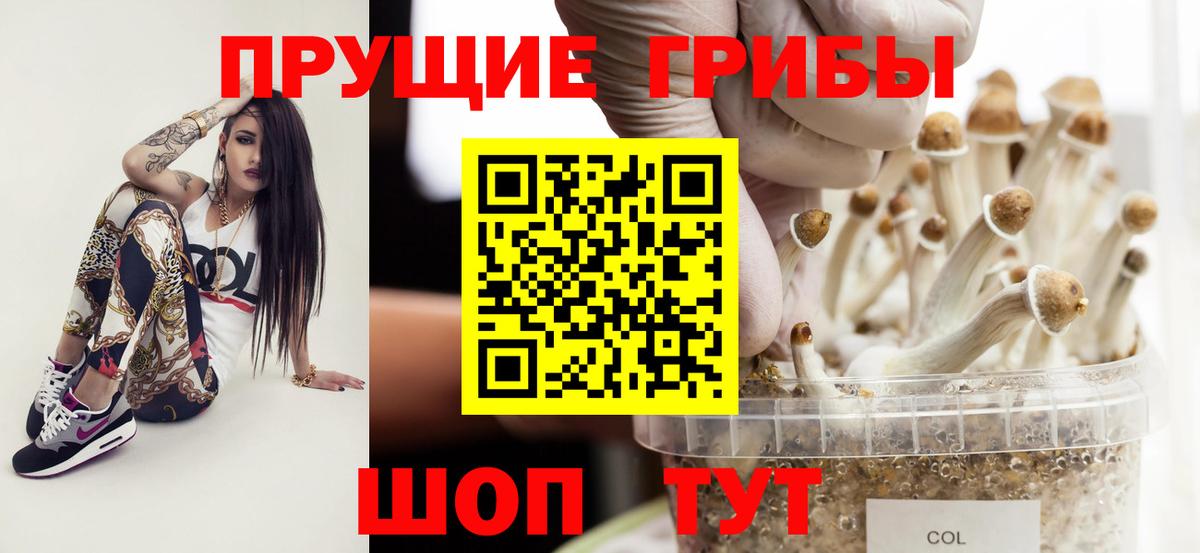 Галлюциногенные грибы GOLDEN TEACHER Долгопрудный