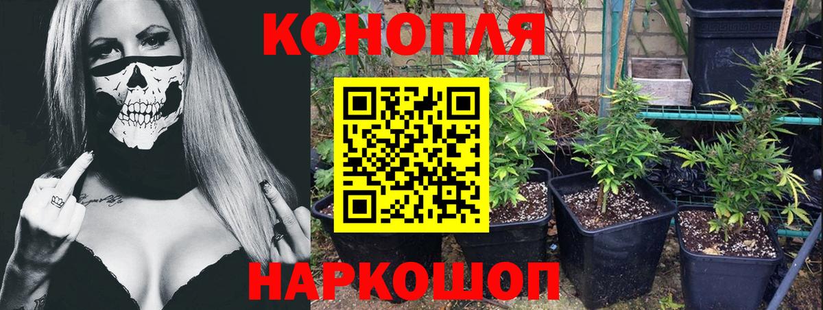 Каннабис семена Долгопрудный